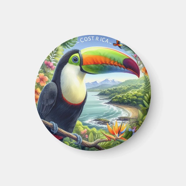 Costa Rica Toucans, Pura Vida Magnet (Front)