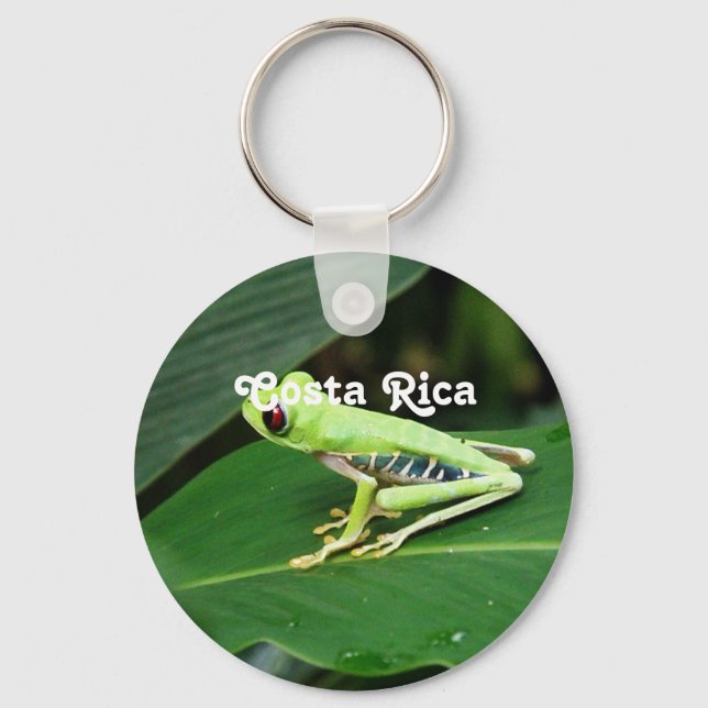 Costa Rica Tree Frog Key Ring (Front)