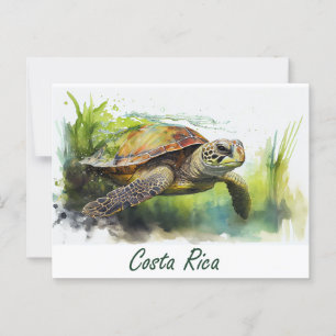 Costa Rica Turtle Postcard