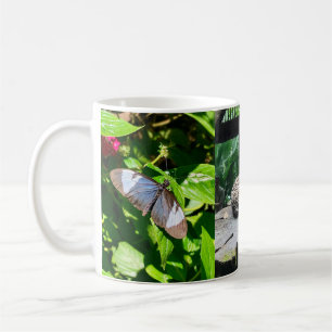 Costa Rica Wildlife Waterfall Mug