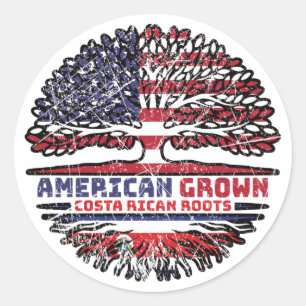 Costa Rican Costa Rica US American USA United Classic Round Sticker