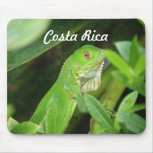 Costa Rican Lizard Mouse Pad