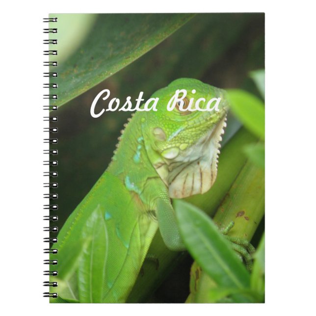 Costa Rican Lizard Spiral Notebook (Front)
