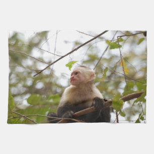 Costa Rican Wildlife: White Faced Capuchin Monkey Tea Towel