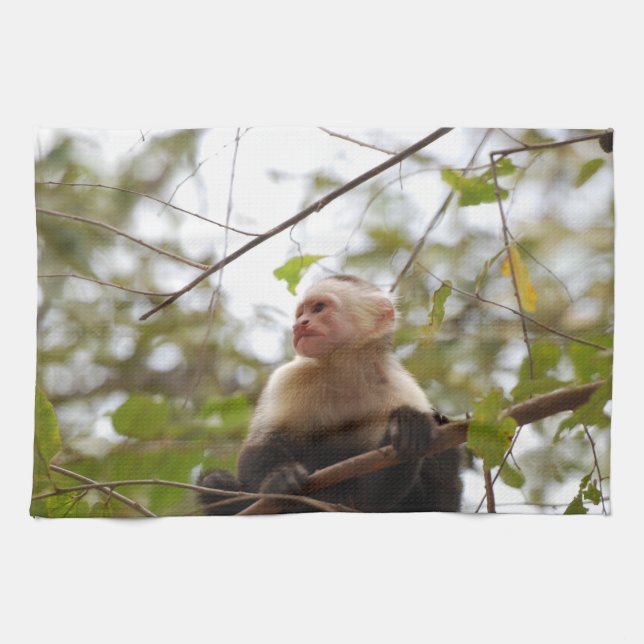 Costa Rican Wildlife: White Faced Capuchin Monkey Tea Towel (Horizontal)