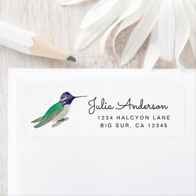Costa's Hummingbird return address Label (Insitu)