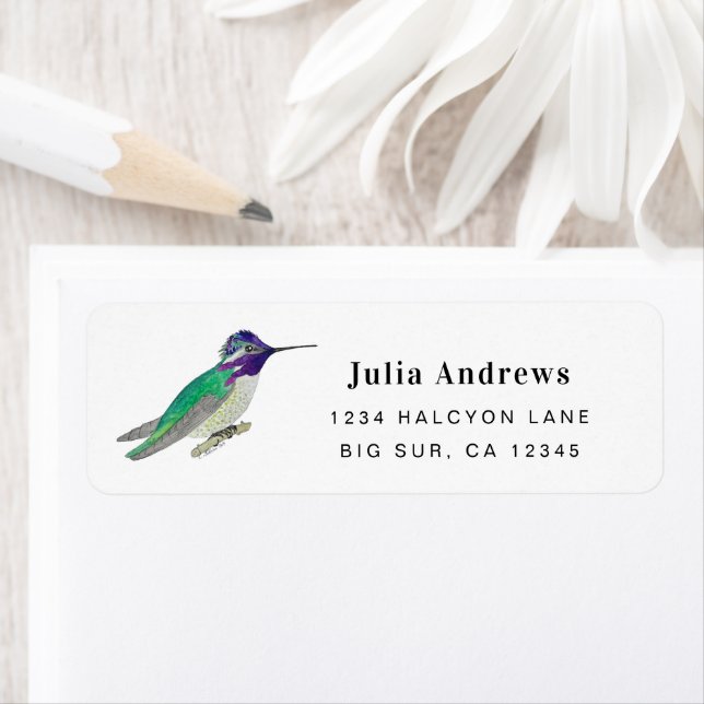Costa's Hummingbird return address Label (Insitu)