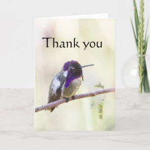 Costa's Perched on a branch, Thank you. You Card