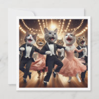 Costume party, Ballroom dance party, cat 