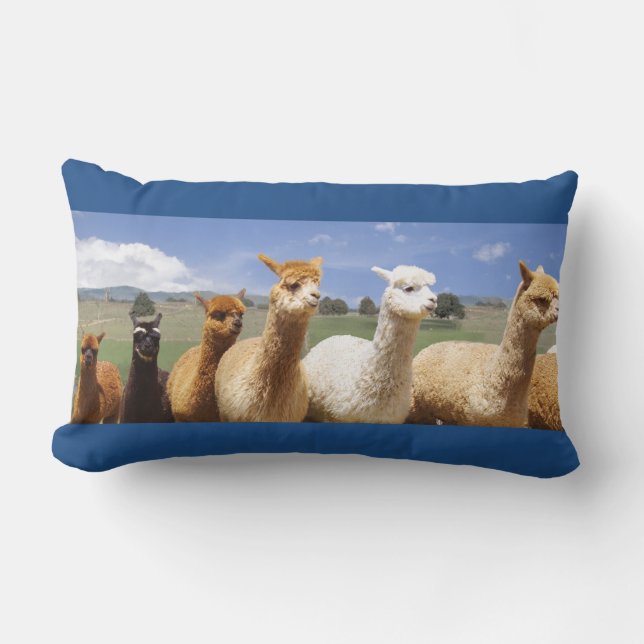 Cosy Alpaca Lumbar Pillow (Front)