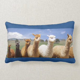 Cosy Alpaca Lumbar Pillow
