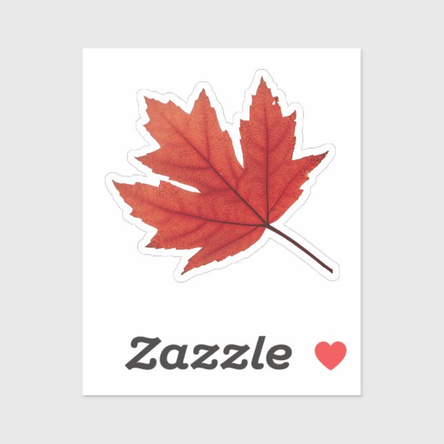 Cosy Autumn Vibes: Fall Season (Sheet)