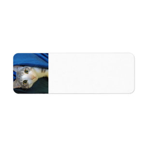 Cosy Bengal Cat Bobby Return Address Label