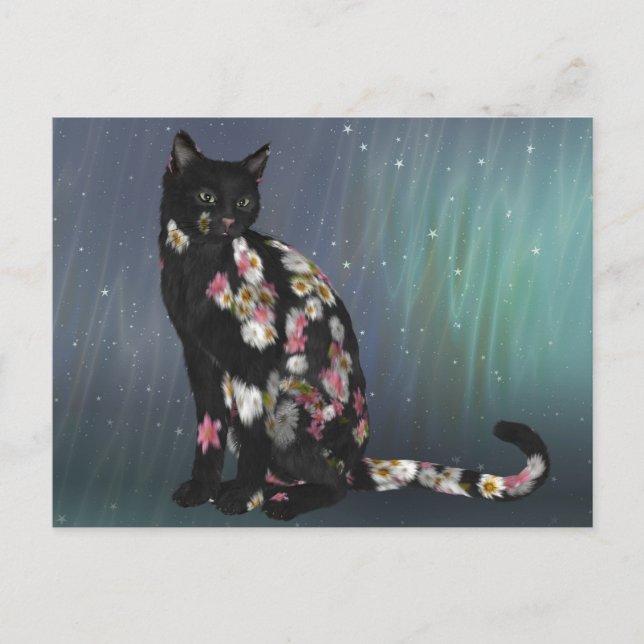 Cosy Black Daisy Cat Postcard (Front)
