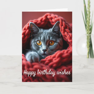 Cosy Cat Birthday Card