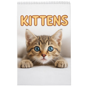 Cosy Cat Photography Cute Kitten Cat Wall Calendar