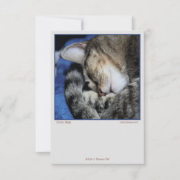 Cosy Cats