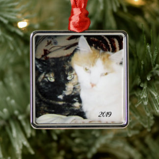 Cosy Cheek to Cheek Cats Photo with Year Metal Tree Decoration