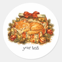 Cosy Christmas Orange Cat Sleeping Gift Box Retro