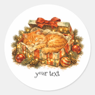 Cosy Christmas Orange Cat Sleeping Gift Box Retro Classic Round Sticker