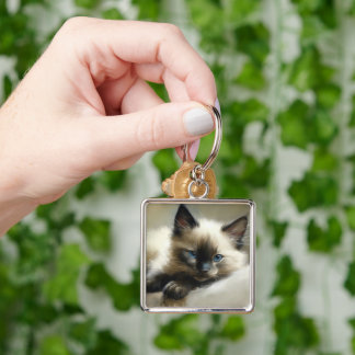 Cosy Companion Siamese Kitten Key Ring