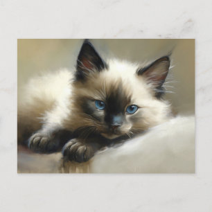 Cosy Companion Siamese Kitten Postcard