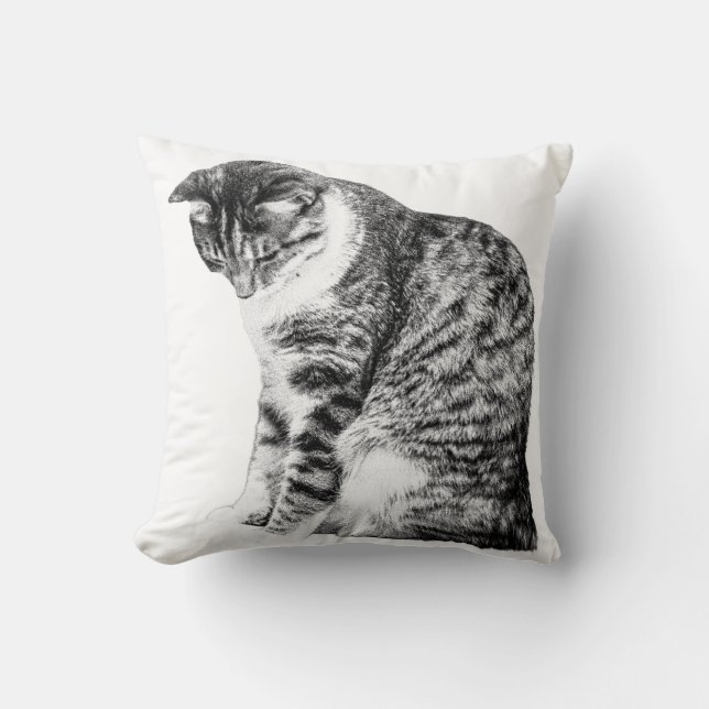 Cosy Corners with Shaded Cat Grace Cushion (Front)