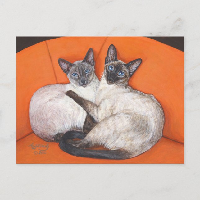 Cosy Couple Siamese Cat Postcard (Front)