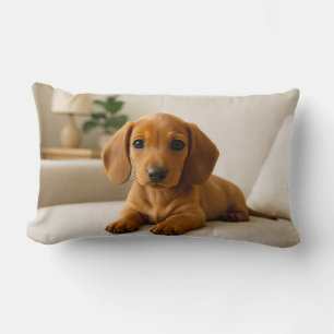 Cosy Dachshund  Lumbar Cushion