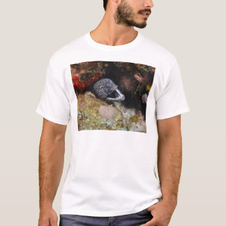 Cosy Eel T-Shirt
