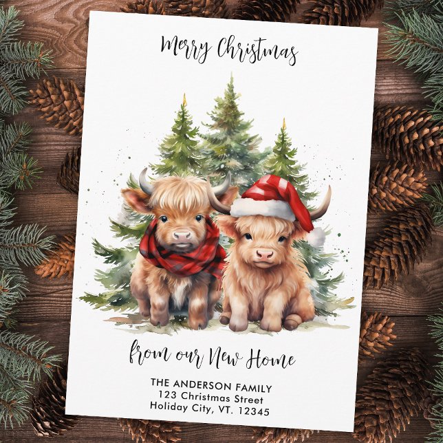 Cosy Highland Cow New Address Christmas Moving Holiday Card (Creator Uploaded)