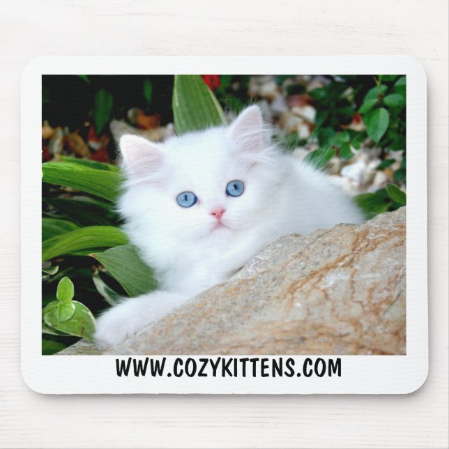 Cosy Kittens Heaven On Earth Mouse Pad (Front)