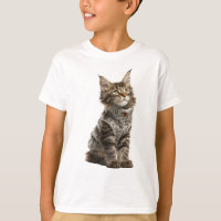 Cosy Knitted Maine Coon Kitten Kids