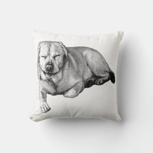 Cosy Lab For the Sofa Cushion