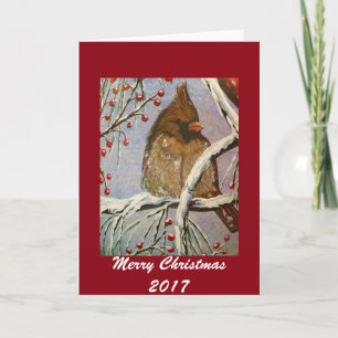 Cosy Little Cardinal Greeting Card