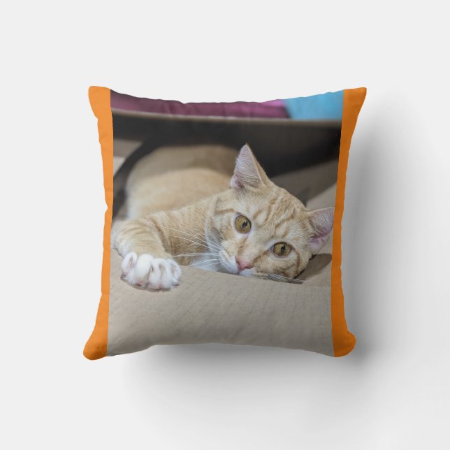 "Cosy Orange Tabby Cat Pillow – Warm Feline Charm  (Back)