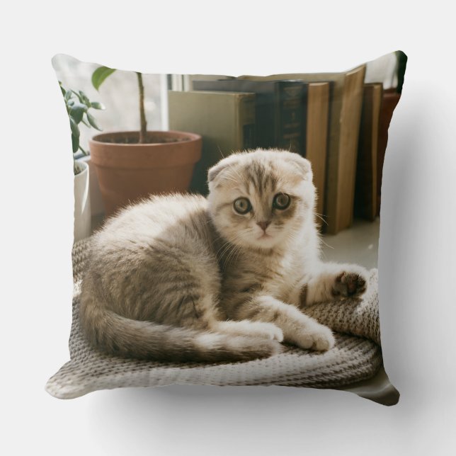 Cosy Scottish Fold Cat Throw Pillow (Front)