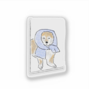 Cosy Shiba Inu Dog with Scarf Illustration