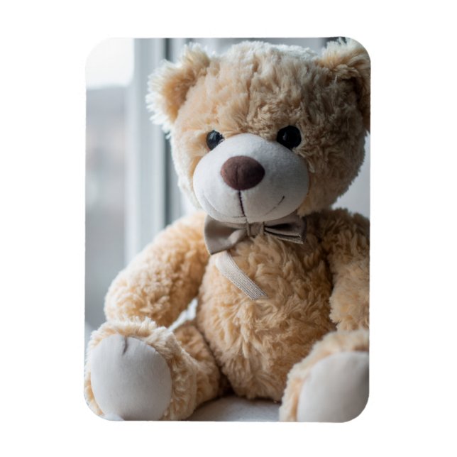 Cosy Sitting Teddy Bear Magnet (Vertical)