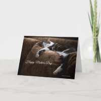 Cosy Sleeping Buddy Cat Mother's Day Card