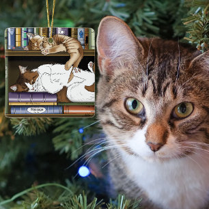 Cosy Sleeping Cats Bookshelf Illustration Cute Ceramic Tree Decoration