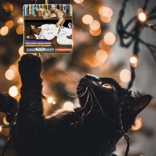 Cosy Sleeping Cats Bookshelf Illustration Cute Ceramic Tree Decoration