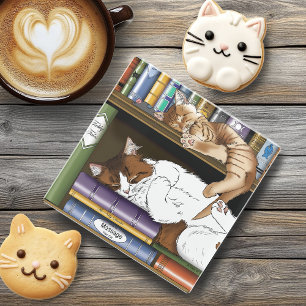 Cosy Sleeping Cats Bookshelf Illustration Cute Glass Coaster