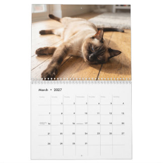Cosy Sleeping Cats | Cute Cat Photo Calendar