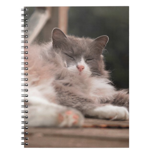 Cosy Sleeping Fluffy Cat Notebook (Front)