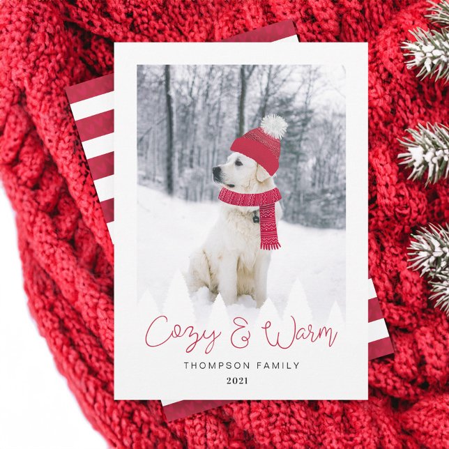 Cosy & Warm Family & Pet Photo Winter Hat & Scarf Holiday Card (Cozy & Warm Family & Pet Photo Winter Hat & Scarf Holiday Card)