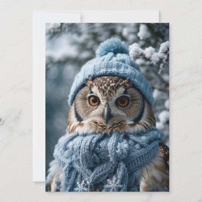 Cosy Whimsical Winter Wonderland Owl Holiday Card (Front)