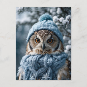 Cosy Whimsical Winter Wonderland Owl Postcard