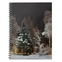 Cosy Winter Forest Night Scene