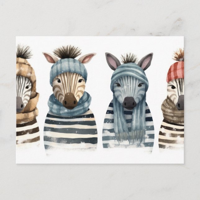 Cosy Zebras Postcard (Front)